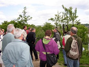 Im Gartengebiet Steigeräcker